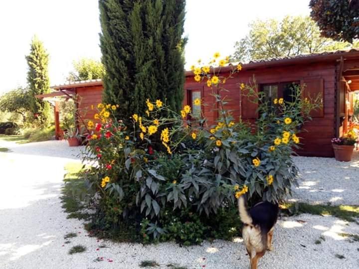 Il Casale Di Rosaria Zagarolo Exterior foto